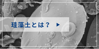 珪藻土とは?